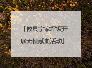 攸县宁家坪镇开展无偿献血活动
