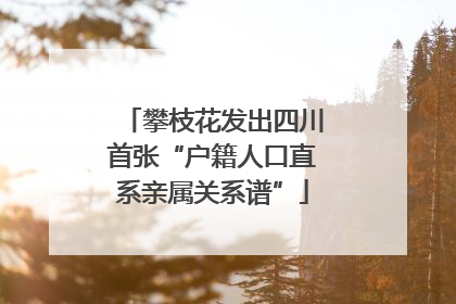 攀枝花发出四川首张“户籍人口直系亲属关系谱”