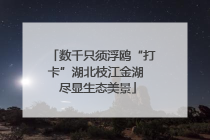 数千只须浮鸥“打卡”湖北枝江金湖 尽显生态美景