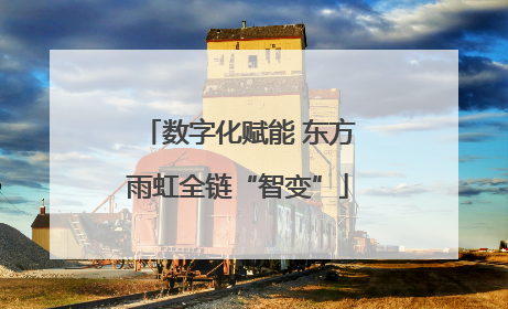 数字化赋能 东方雨虹全链“智变”