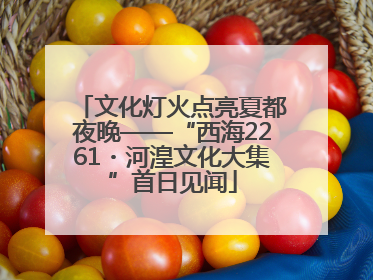 文化灯火点亮夏都夜晚——“西海2261・河湟文化大集”首日见闻