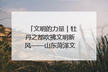 文明的力量｜牡丹之都吹拂文明新风——山东菏泽文明创建一线见闻