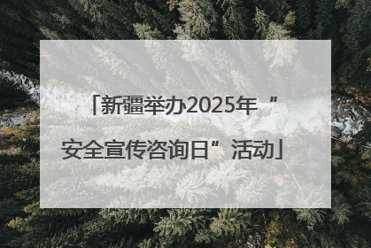 新疆举办2025年“安全宣传咨询日”活动