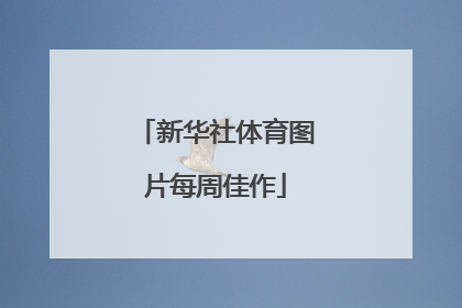 新华社体育图片每周佳作