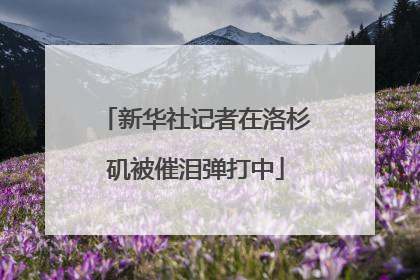 新华社记者在洛杉矶被催泪弹打中