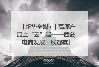 新华全媒+｜高原产品上“云”端——西藏电商发展一线观察