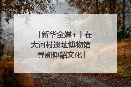 新华全媒+丨在大河村遗址博物馆寻溯仰韶文化