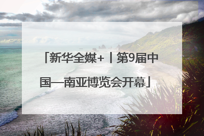 新华全媒+丨第9届中国—南亚博览会开幕