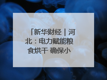 新华财经｜河北：电力赋能粮食烘干 确保小麦高质量归仓