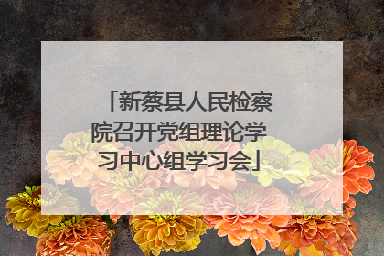 新蔡县人民检察院召开党组理论学习中心组学习会