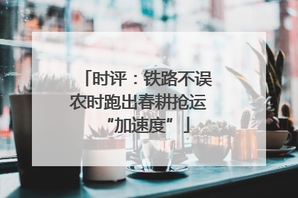时评：铁路不误农时跑出春耕抢运“加速度”
