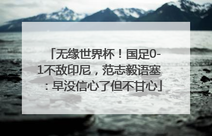 无缘世界杯！国足0-1不敌印尼，范志毅语塞：早没信心了但不甘心