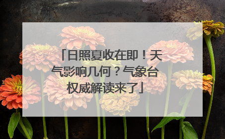 日照夏收在即！天气影响几何？气象台权威解读来了