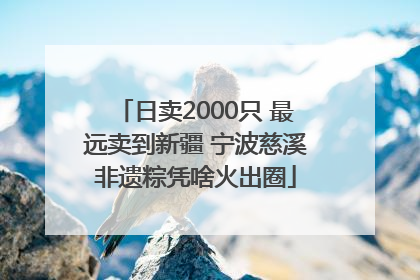 日卖2000只 最远卖到新疆 宁波慈溪非遗粽凭啥火出圈