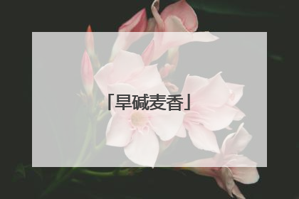 旱碱麦香
