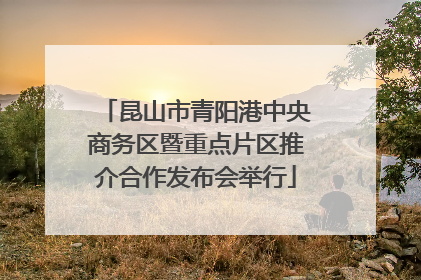 昆山市青阳港中央商务区暨重点片区推介合作发布会举行