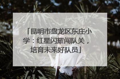 昆明市盘龙区东庄小学：红星闪耀闯队关，培育未来好队员