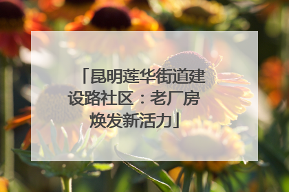 昆明莲华街道建设路社区：老厂房焕发新活力