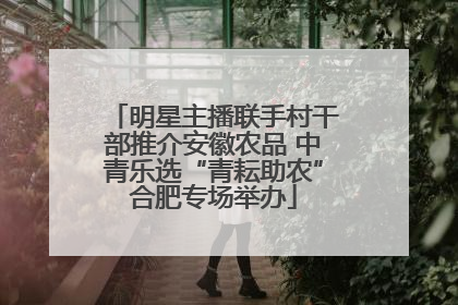明星主播联手村干部推介安徽农品 中青乐选“青耘助农”合肥专场举办
