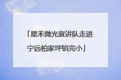星禾微光宣讲队走进宁远柏家坪镇完小