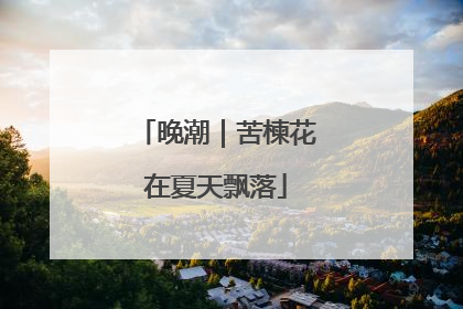 晚潮｜苦楝花在夏天飘落