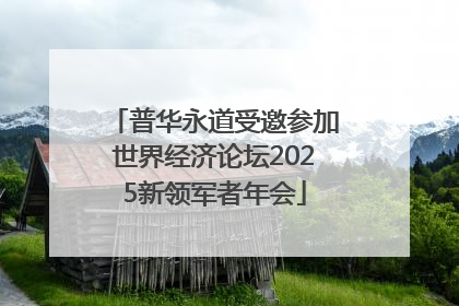 普华永道受邀参加世界经济论坛2025新领军者年会