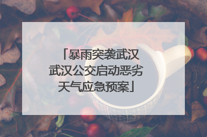 暴雨突袭武汉 武汉公交启动恶劣天气应急预案