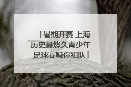 暑期开赛 上海历史最悠久青少年足球赛喊你组队