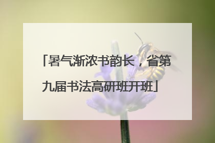 暑气渐浓书韵长，省第九届书法高研班开班