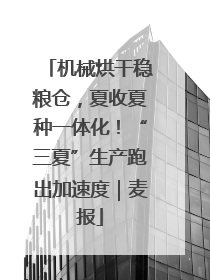 机械烘干稳粮仓，夏收夏种一体化！“三夏”生产跑出加速度｜麦报