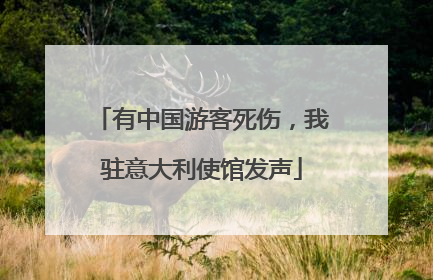 有中国游客死伤，我驻意大利使馆发声