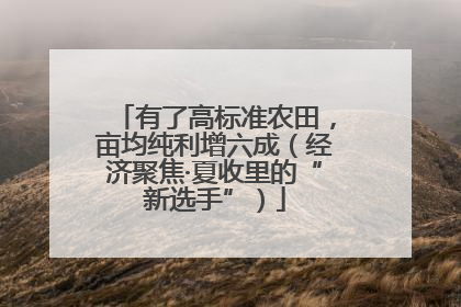有了高标准农田，亩均纯利增六成（经济聚焦·夏收里的“新选手”）