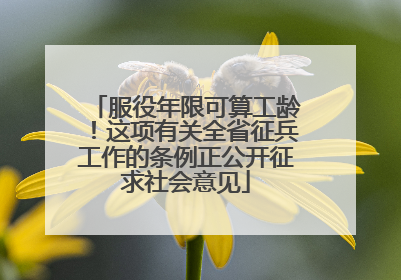 服役年限可算工龄！这项有关全省征兵工作的条例正公开征求社会意见