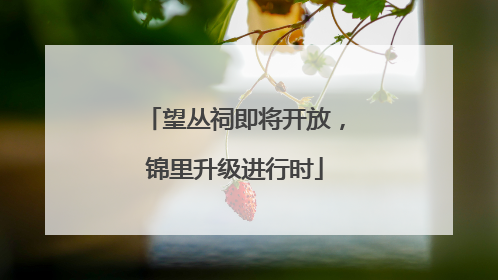 望丛祠即将开放，锦里升级进行时
