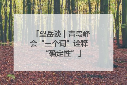 望岳谈｜青岛峰会“三个词”诠释“确定性”
