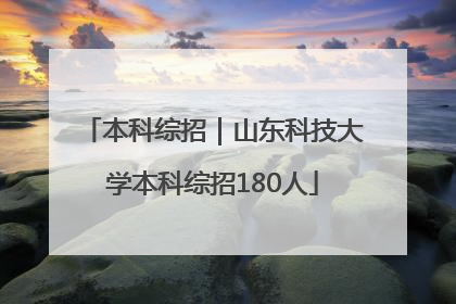 本科综招｜山东科技大学本科综招180人