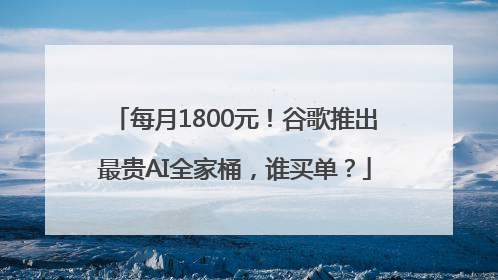 每月1800元！谷歌推出最贵AI全家桶，谁买单？
