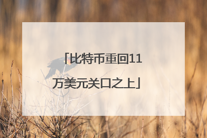 比特币重回11万美元关口之上