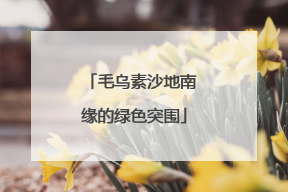 毛乌素沙地南缘的绿色突围