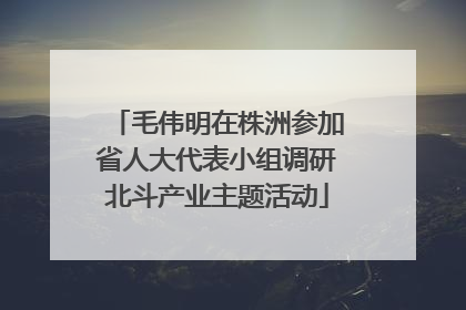 毛伟明在株洲参加省人大代表小组调研北斗产业主题活动