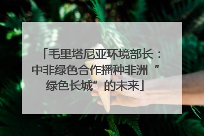 毛里塔尼亚环境部长：中非绿色合作播种非洲“绿色长城”的未来