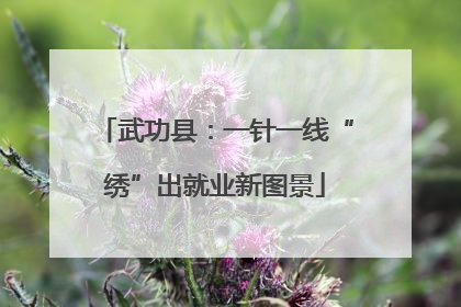 武功县：一针一线“绣”出就业新图景