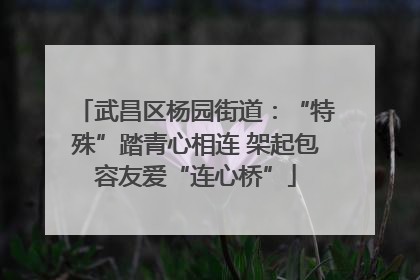 武昌区杨园街道：“特殊”踏青心相连 架起包容友爱“连心桥”