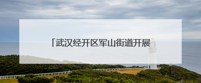 武汉经开区军山街道开展节前环境综合大整治行动