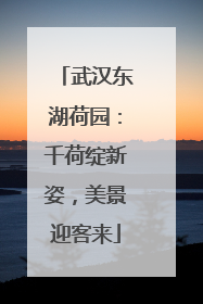 武汉东湖荷园：千荷绽新姿，美景迎客来