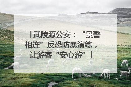 武陵源公安：“景警相连”反恐防暴演练，让游客“安心游”