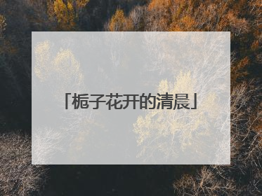 栀子花开的清晨