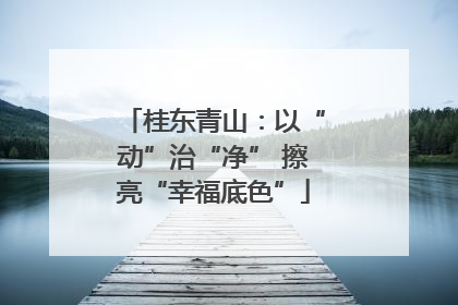 桂东青山：以“动”治“净” 擦亮“幸福底色”