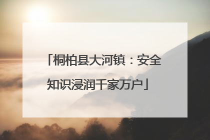 桐柏县大河镇：安全知识浸润千家万户