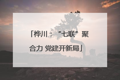 桦川：“七联”聚合力 党建开新局